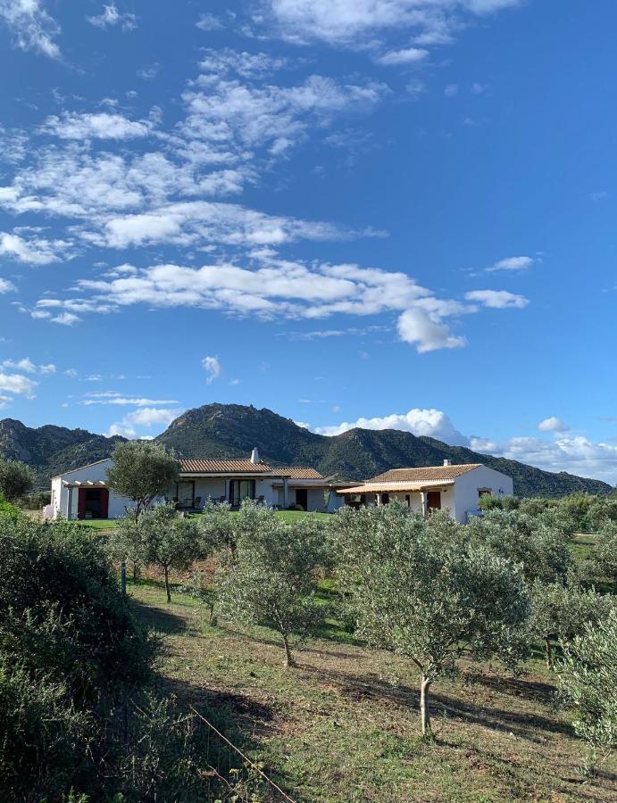 Macciuneddu Country Retreat Голфо Аранчи Екстериор снимка