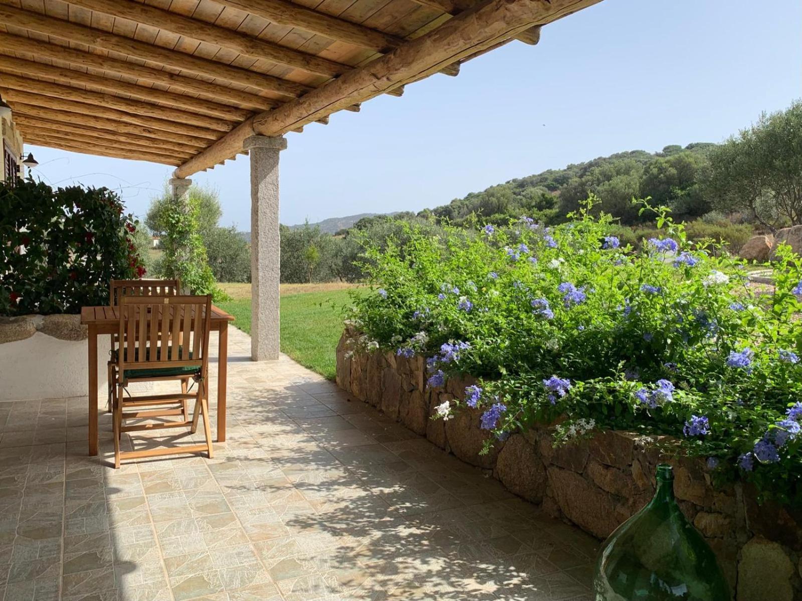 Macciuneddu Country Retreat Голфо Аранчи Екстериор снимка